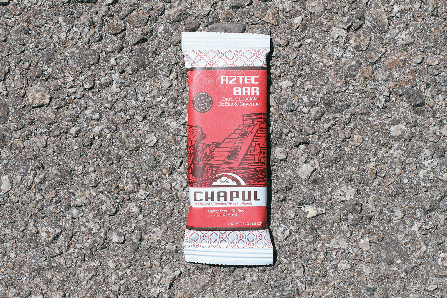 Cricket Flour Protein Bar Review: Chapul Aztec