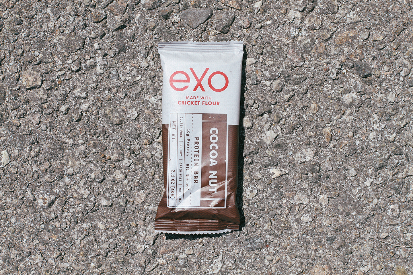 Cricket Flour Protein Bar Review: Exo Cocoa Nut