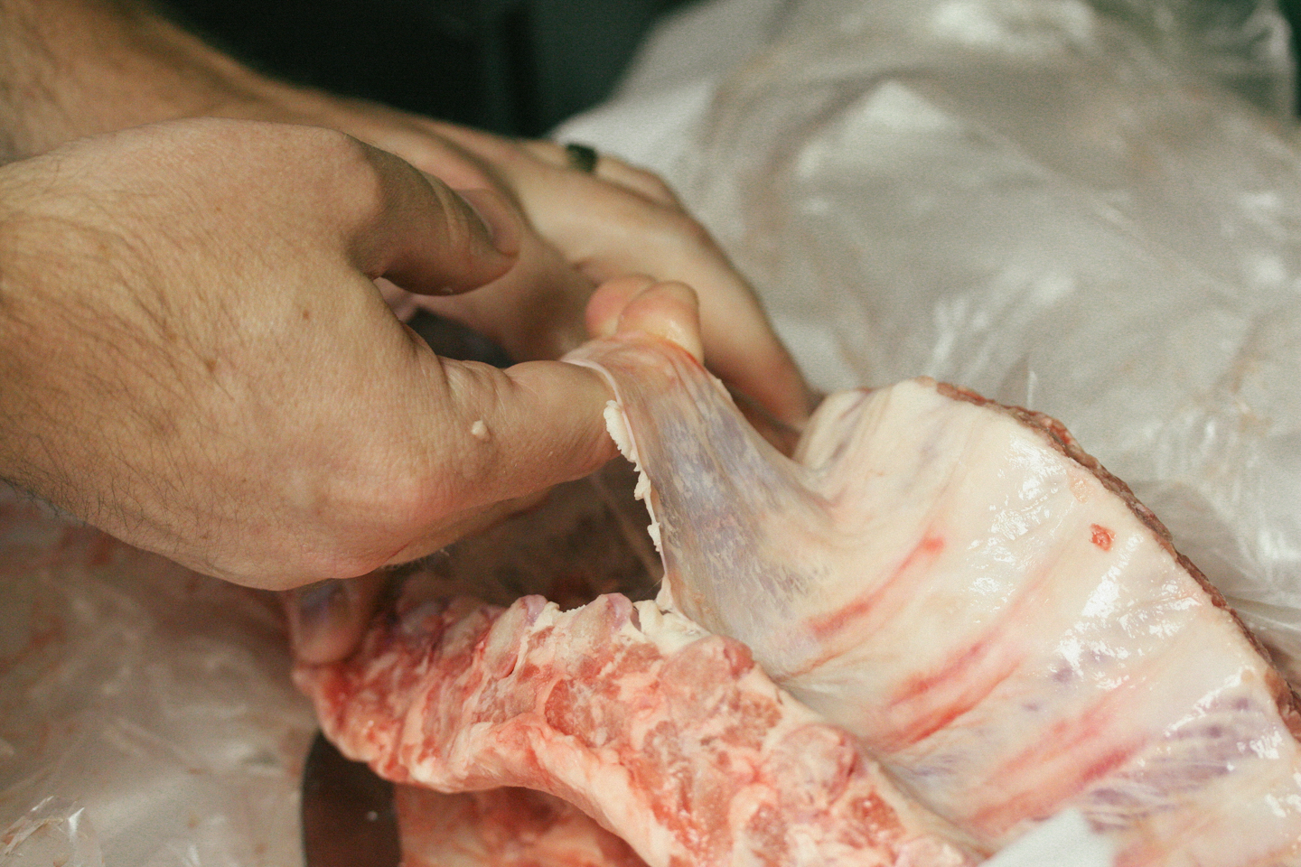 Then get your hand under the membrane to remove