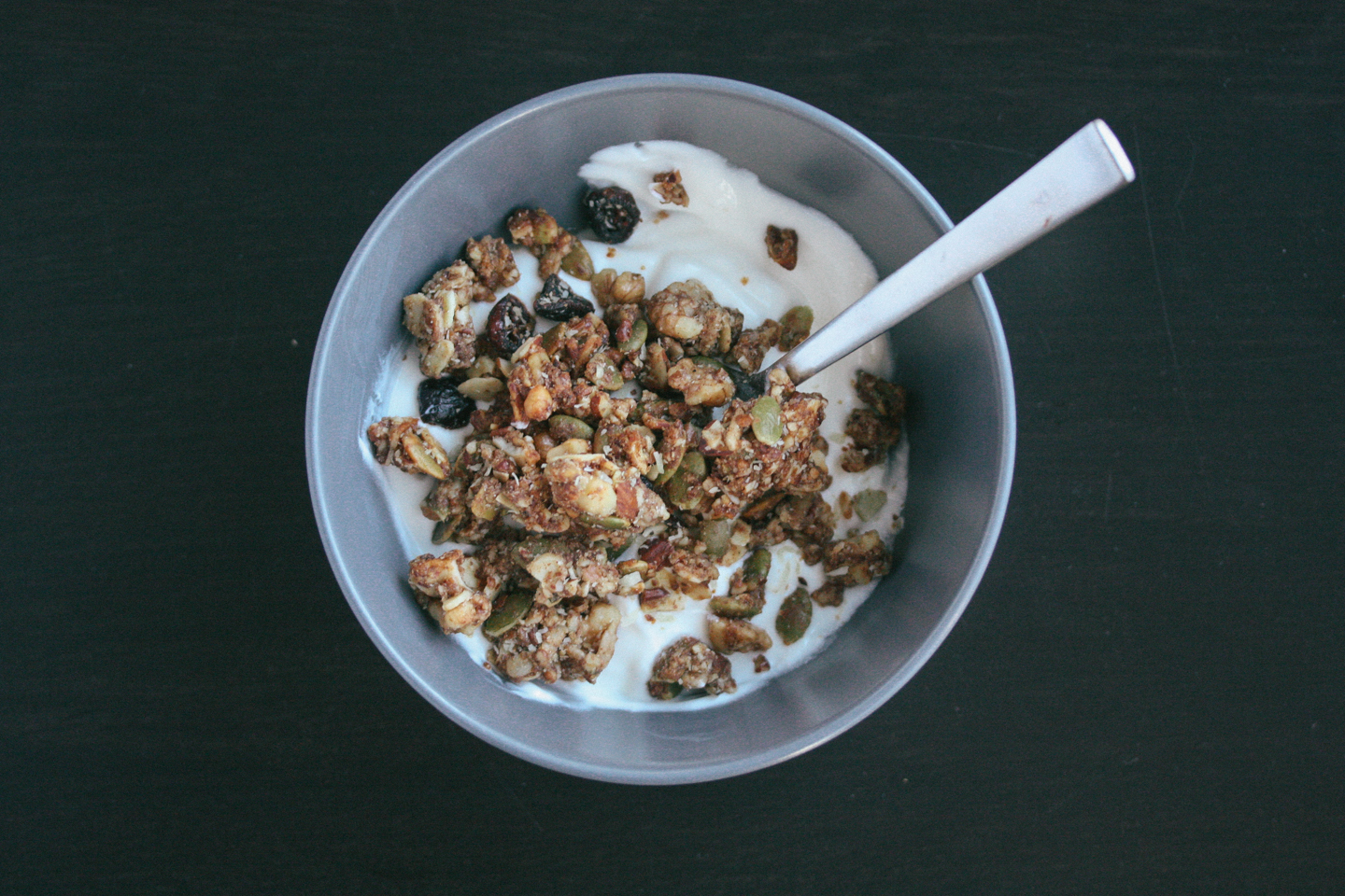 Paleonola: Grain Free Granola Review