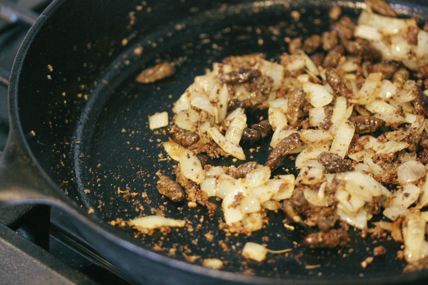 Onion, garlic and silkworms