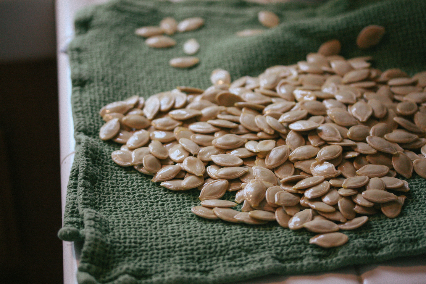 Drying the seeds