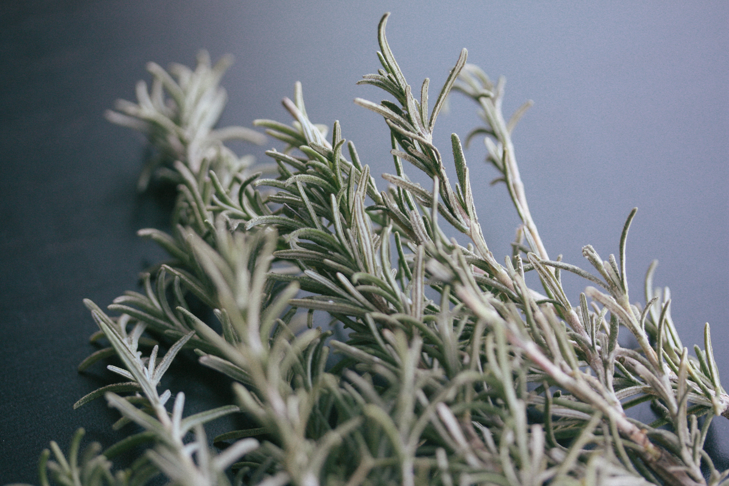 Fresh Rosemary