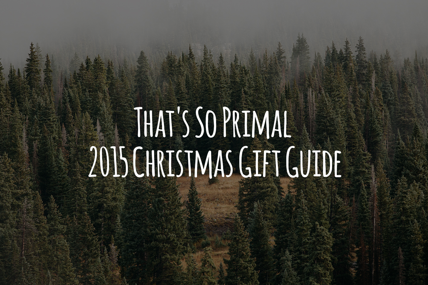 That's So Primal 2015 Christmas Gift Guide