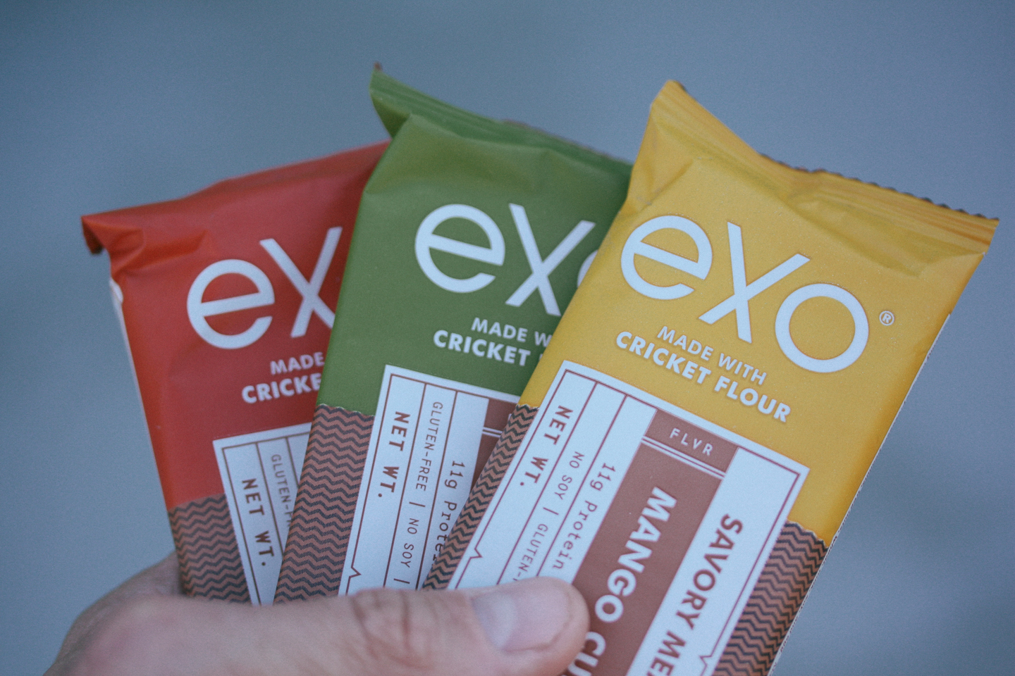 Exo Savory Bars Review