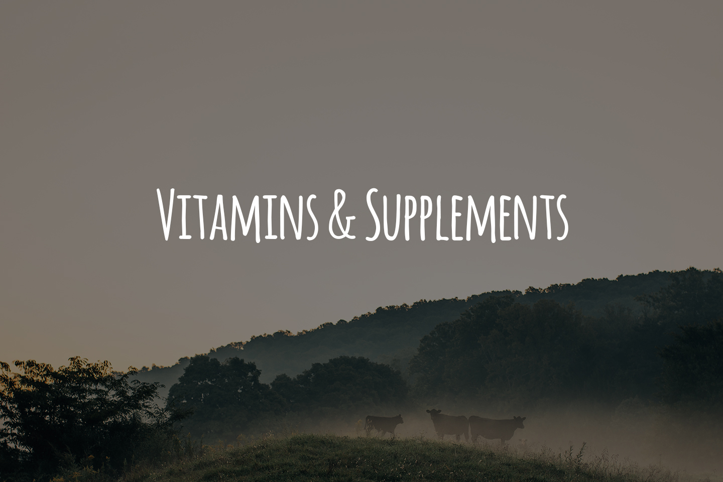 Vitamins & Supplements