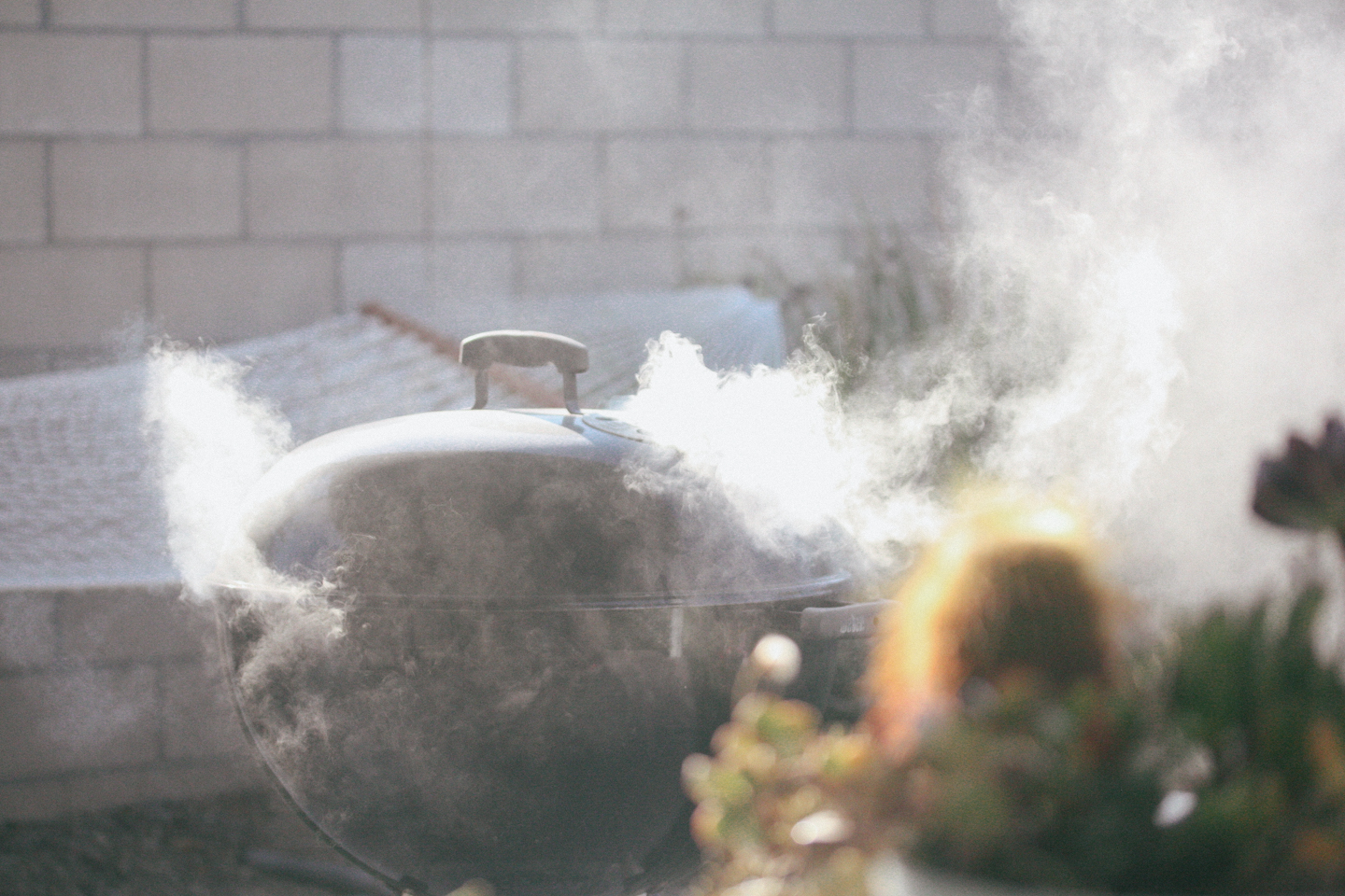 Dad's Smoked Ribs