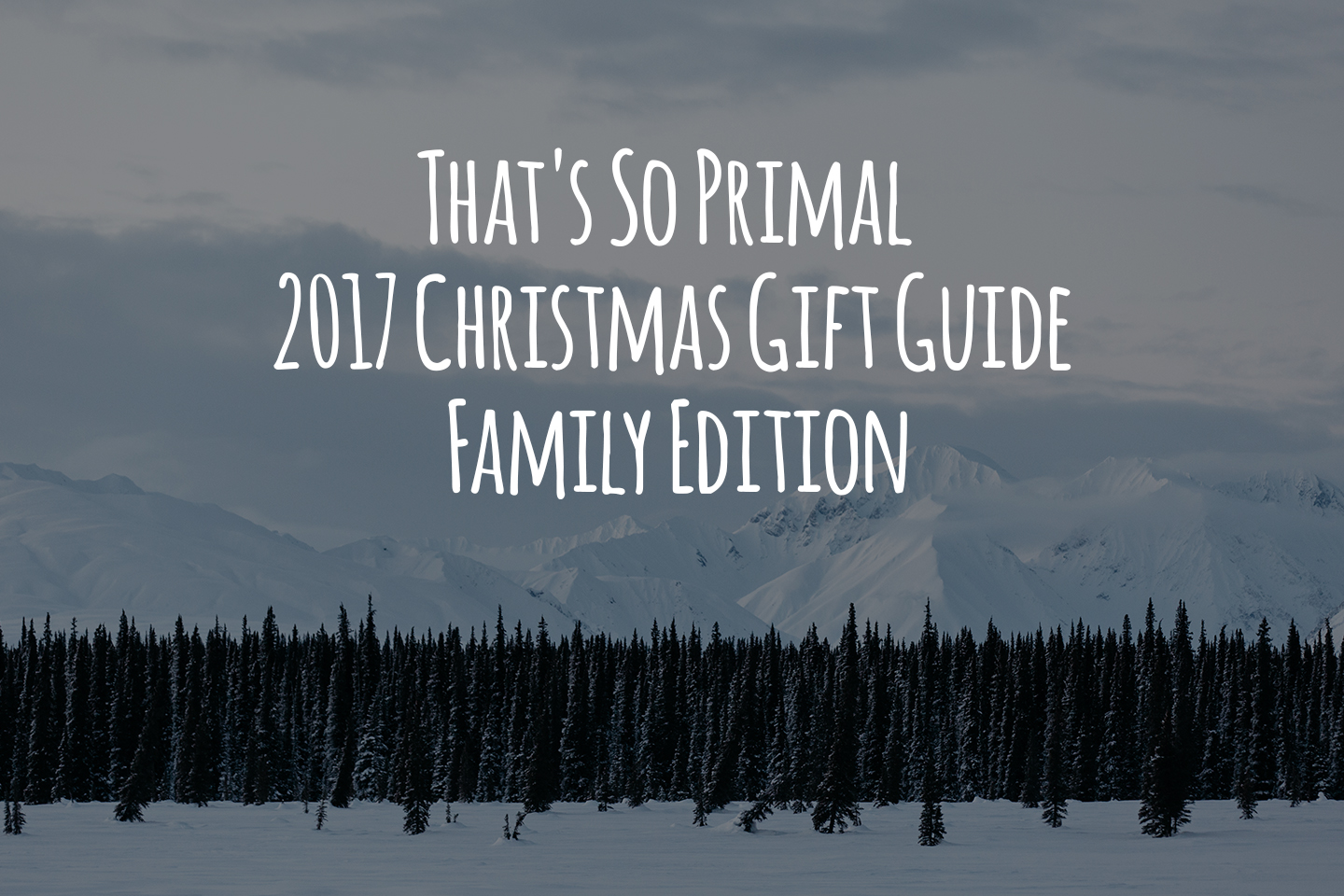 That's So Primal 2017 Christmas Gift Guide - Family Edition