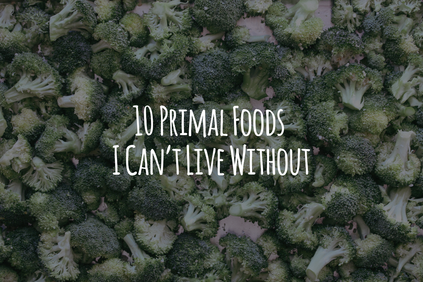 10 Primal Foods I Can’t Live Without Header
