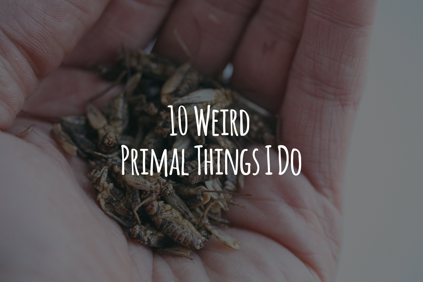 10 Weird Primal Things I Do